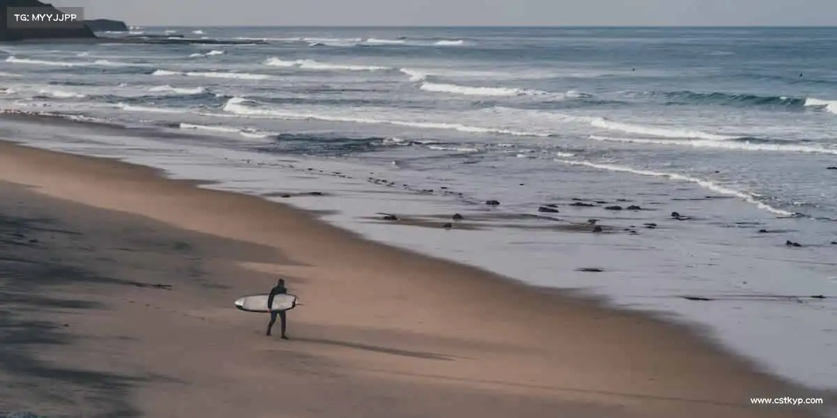 米兰官网🏋️‍♀️汗水浇筑梦想，赛场见证辉煌！