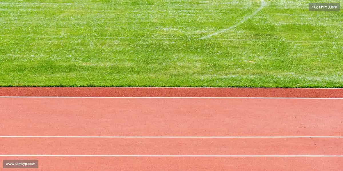 为什么选择我们